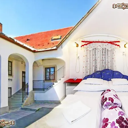 招待所 巴洛克文德翰旅馆 3*