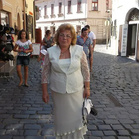 招待所 巴洛克文德翰旅馆 3*